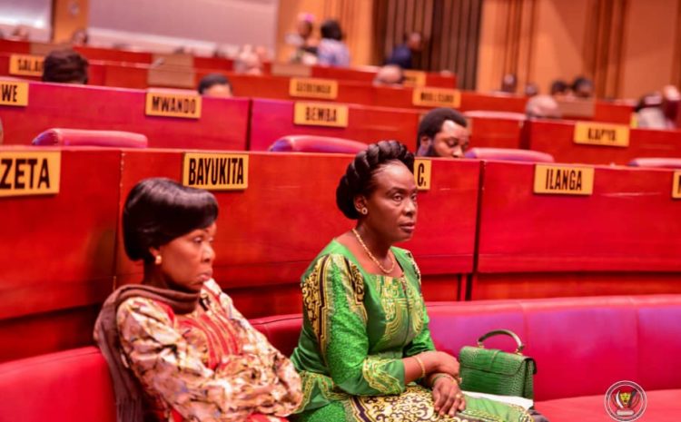  CONTROLE PARLEMENTAIRE AU SENAT