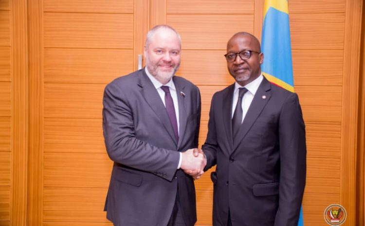  DIPLOMATIE PARLEMENTAIRE