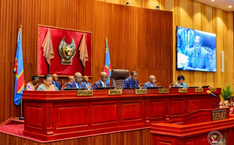  NEUF PROJETS DE LOIS DE RATIFICATION DE PLUS DE 552 MILLIONS USD VOTES AU SENAT