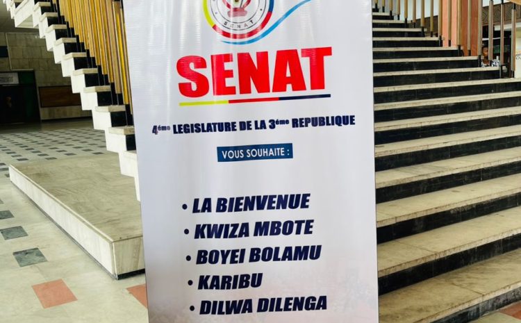  IDENTIFICATION ET ENREGISTREMENT DES SENATEURS DE LA 4ème LEGISLATURE DE LA 3ème REPUBLIQUE.