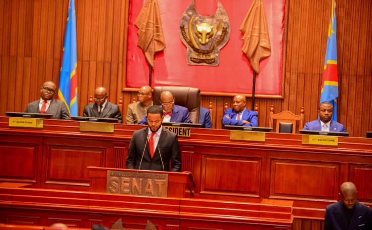  LEGISLATURE 2024-2028 : LE SENAT VALIDE LE MANDAT DE SES MEMBRES