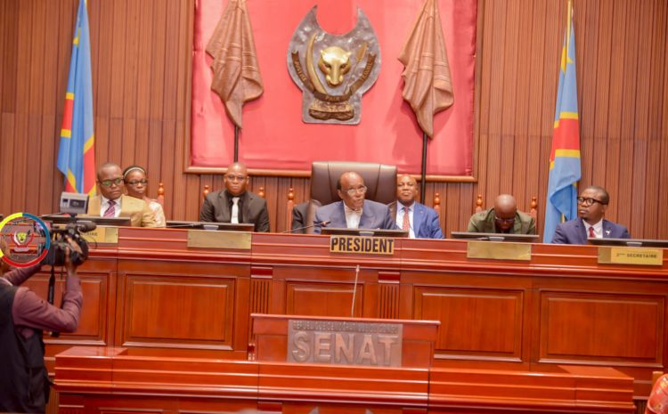  VOTE ET INSTALLATION DU BUREAU DEFINITIF DU SENAT, RENDEZ-VOUS LE SAMEDI 3 AOUT PROCHAIN