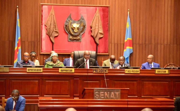  SENAT : MISE EN PLACE DES GROUPES POLITIQUES ET PROVINCIAUX